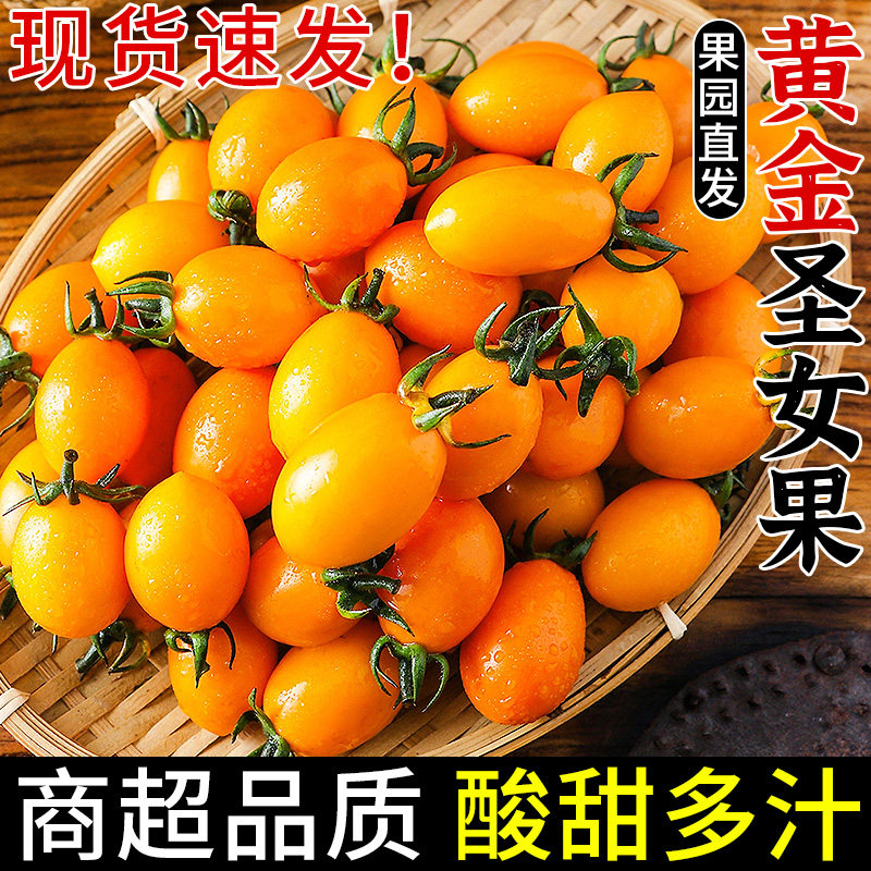 新鲜黄金圣女果5斤樱桃小番茄水果现摘自然熟酸甜黄皮西红柿包邮3