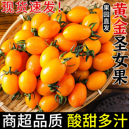 现摘现发！黄金圣女果！酸甜多汁