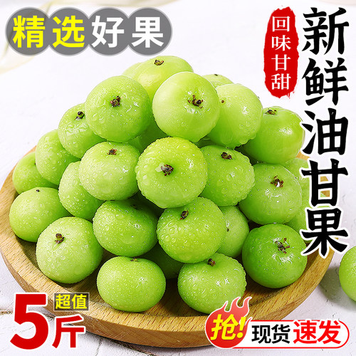 新鲜油甘果5斤余甘果当季现摘