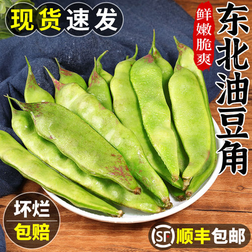 现摘！正宗东北油豆角！精品挑选
