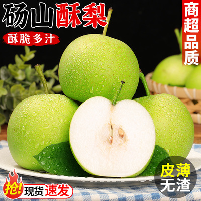 正宗砀山酥梨!入口化渣!酥脆多汁