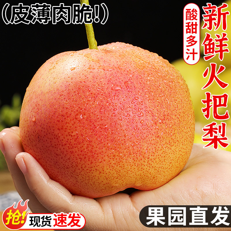 自然熟！云南高原火把梨！现摘！