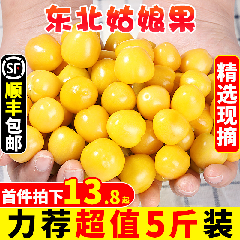 东北姑娘果新鲜当季水果5斤