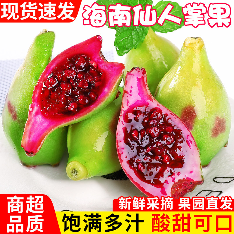现摘！海南仙人掌果！个大饱满