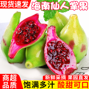 海南仙人掌果当季新鲜热带水果现摘仙人掌果花青素仙桃可食用整箱