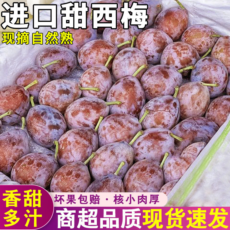 澳洲进口甜西梅5斤新鲜水果当季现摘西梅李子黑布林孕妇整箱包邮3