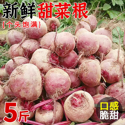 新鲜现挖5斤农家蔬菜包邮