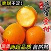广西融安第三代脆蜜金柑鲜果当季正宗小金柑冰糖金橘新鲜水果整箱