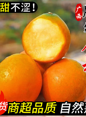 广西融安第三代脆蜜金柑鲜果当季正宗小金柑冰糖金橘新鲜水果整箱