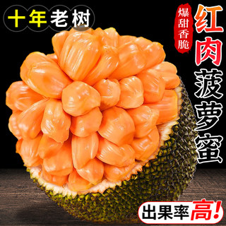 泰国红肉菠萝蜜整个6-18斤应当季新鲜水果进口红心波罗蜜整箱包邮