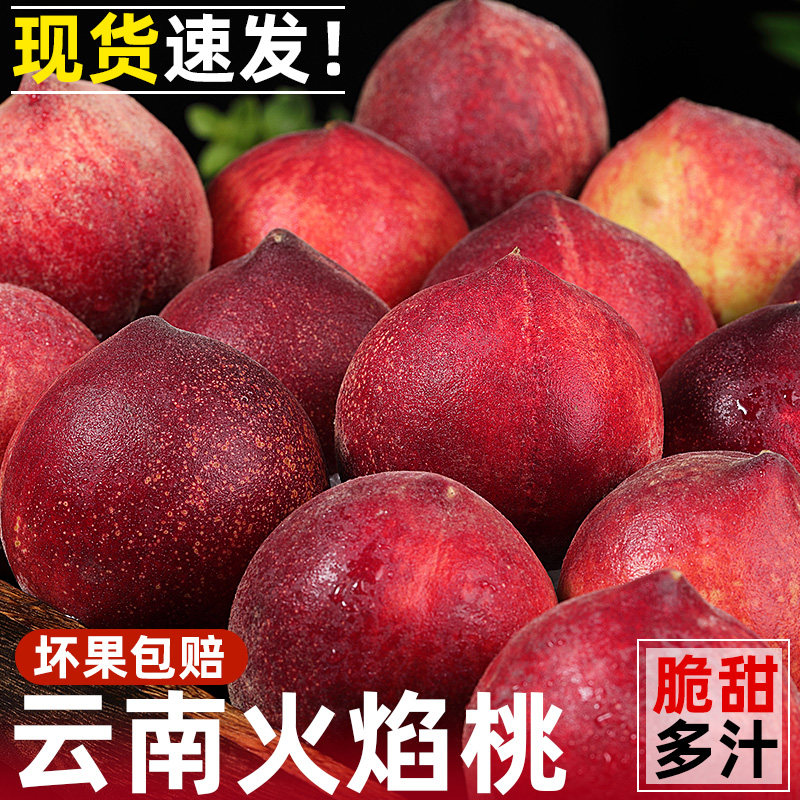 云南火焰桃红宝石桃子新鲜水果当季现摘毛桃子脆甜鹰嘴桃大果包邮