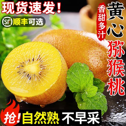 【黄心猕猴桃】现摘不早采自然熟