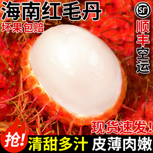 【商超品质】海南红毛丹！自然熟
