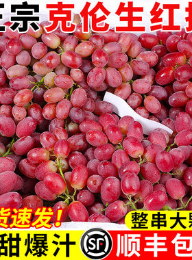 顺丰速发丨克伦生葡萄丨脆甜无籽