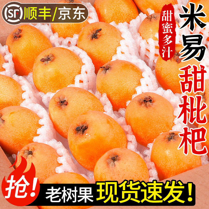 正宗四川攀枝花米易枇杷新鲜水果现摘五星批把甜琵琶大果顺丰京东