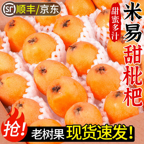 【正宗米易甜枇杷】商超品质！