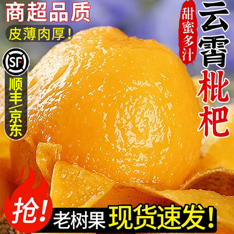 正宗云霄枇杷鲜果5斤新鲜水果当季甜琵琶果批把现摘现发顺丰京东3
