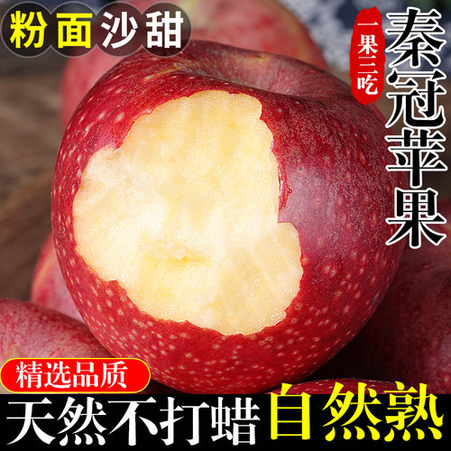 【宝宝辅食】秦冠苹果！粉面沙甜