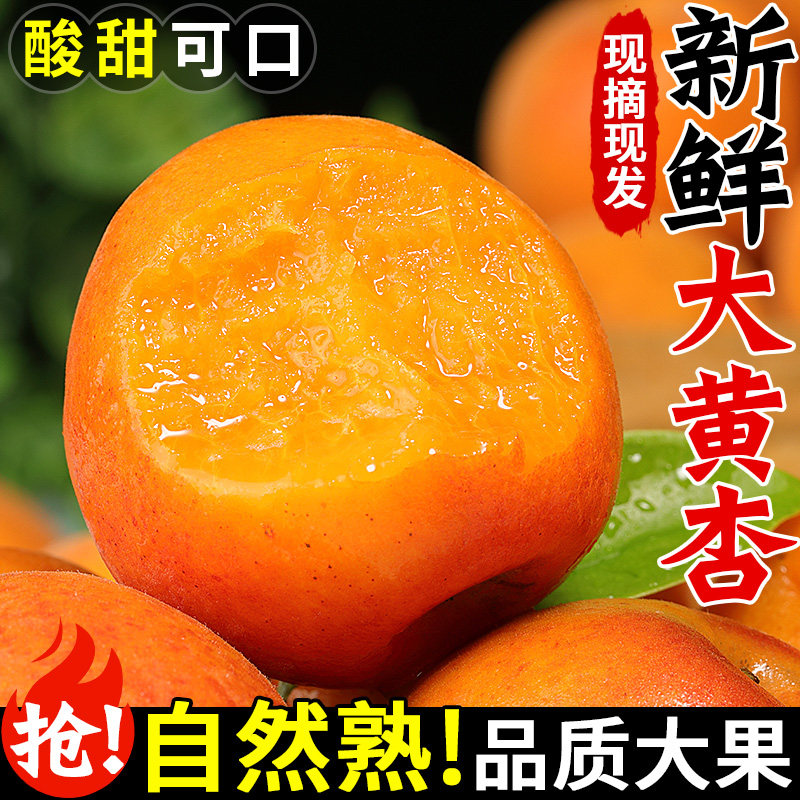 陕西大黄杏新鲜当季水果现摘酸甜杏贵妃太阳杏黄杏子孕妇整箱包邮