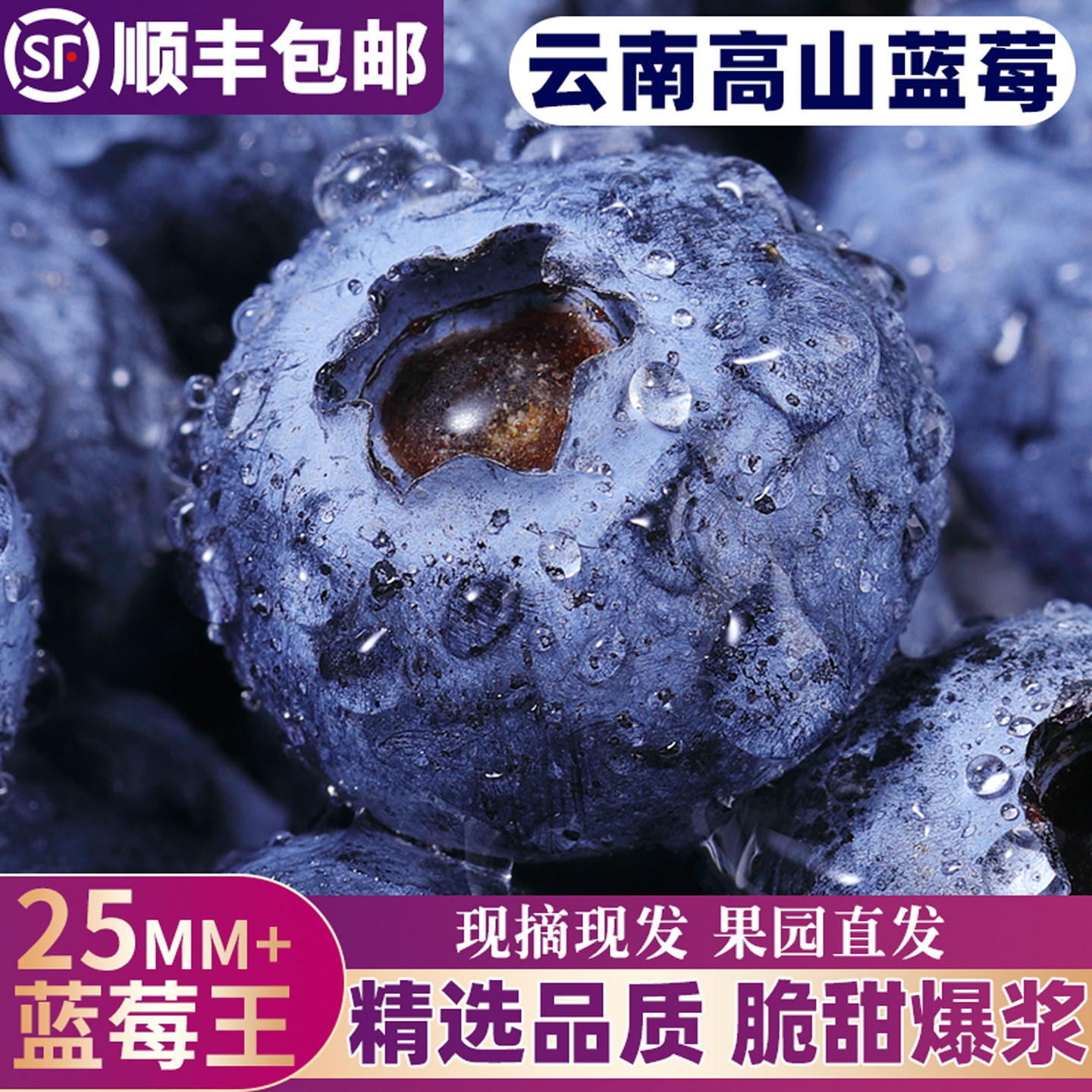 云南高山蓝莓鲜果特大新鲜高端水果当季L25花香怡颗蓝梅整箱包邮