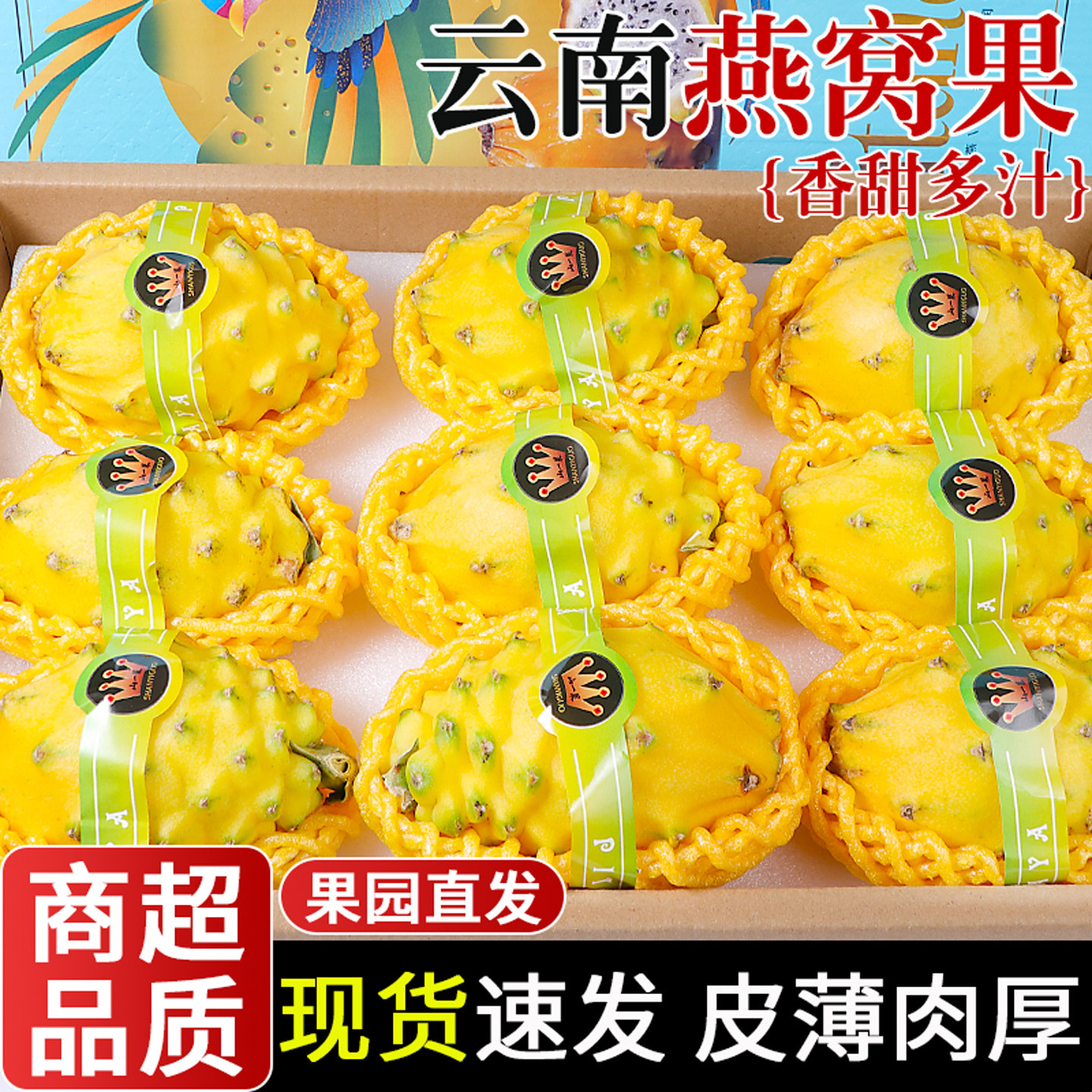 【现摘现发】云南燕窝果！精选