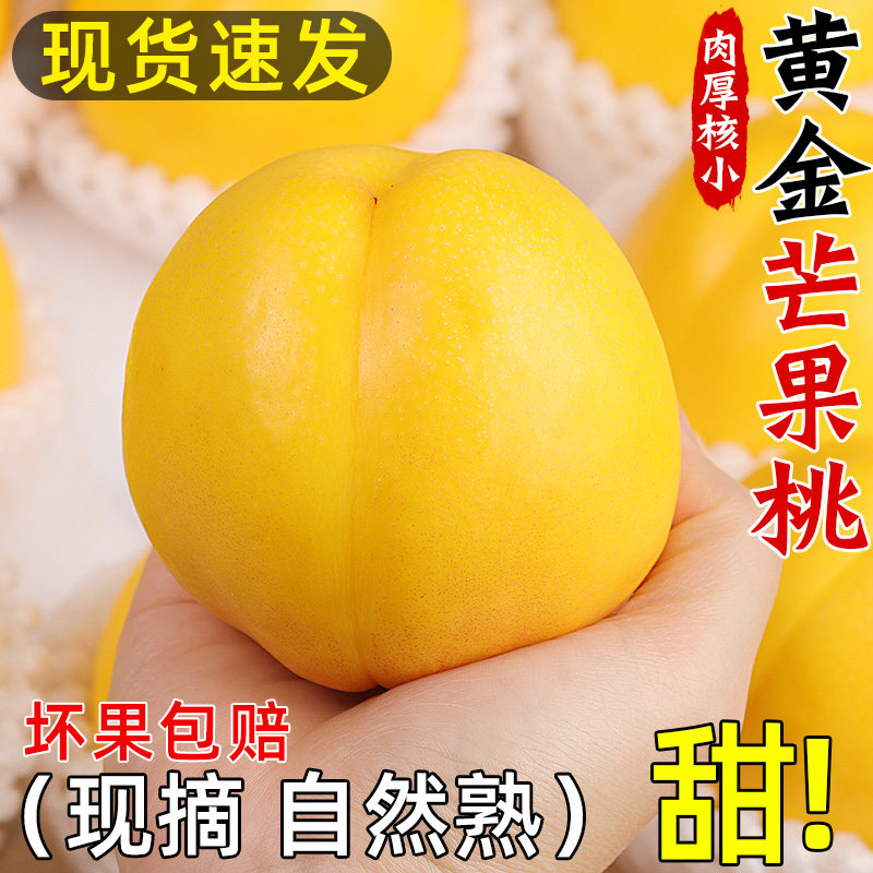 黄金芒果桃新鲜黄肉油桃现摘脆甜桃黄心蜜桃当季水果孕妇整箱包邮