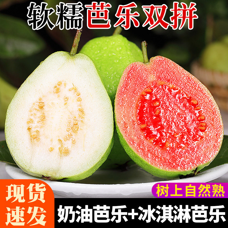 福建软糯红白心芭乐5斤当季新鲜水果软籽番石榴胭脂红土芭乐包邮3