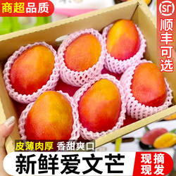 新鲜爱文芒10斤芒果当季水果攀枝花芒果现摘凯特芒彩虹芒大果包邮