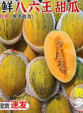 正宗八六王瓜哈密瓜甜瓜当季新鲜水果脆甜伽师瓜网纹蜜瓜整箱包邮