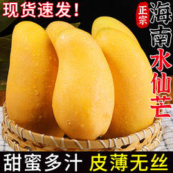 正宗海南水仙芒果当季热带水果新鲜现摘金煌黄皮芒甜心芒大果整箱