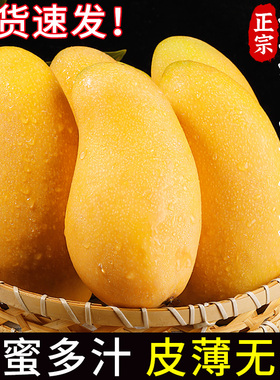 正宗海南水仙芒果当季热带水果新鲜现摘金煌黄皮芒甜心芒大果整箱