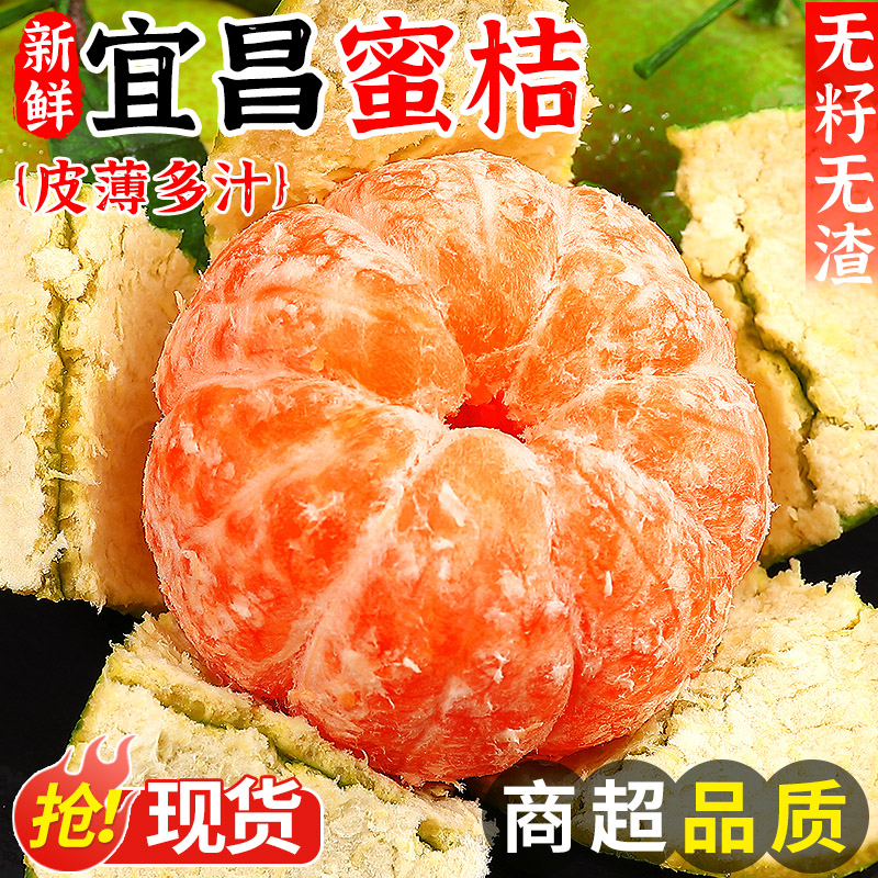 【宜昌蜜桔】5A品质！现摘自然熟