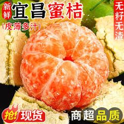 正宗宜昌蜜桔10斤当季新鲜水果青皮蜜橘柑橘酸甜桔子孕妇大果包邮