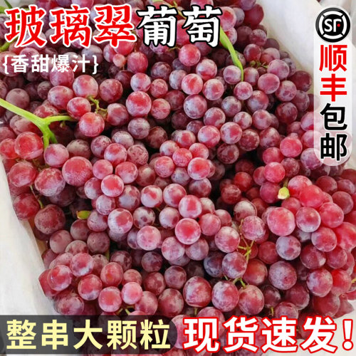 现摘丨新疆玻璃翠葡萄丨脆甜无籽