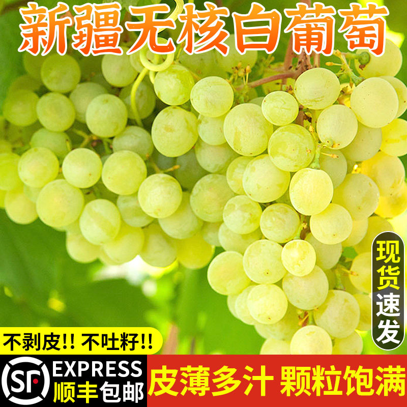 自然熟丨新疆无籽白葡萄丨脆甜！