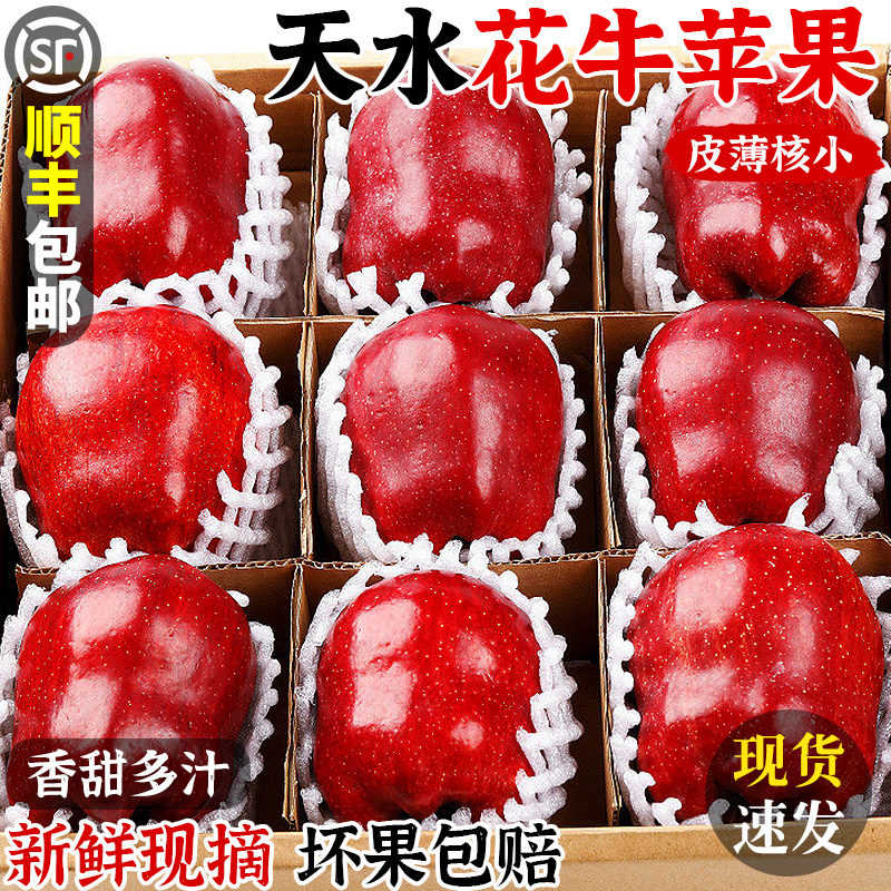【顺丰速发】天水花牛苹果！精选