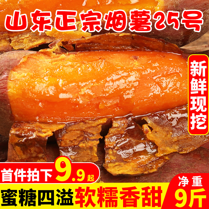 山东烟薯25号糖心红薯9斤装新鲜蜜薯番薯农家自种沙地红薯地瓜10