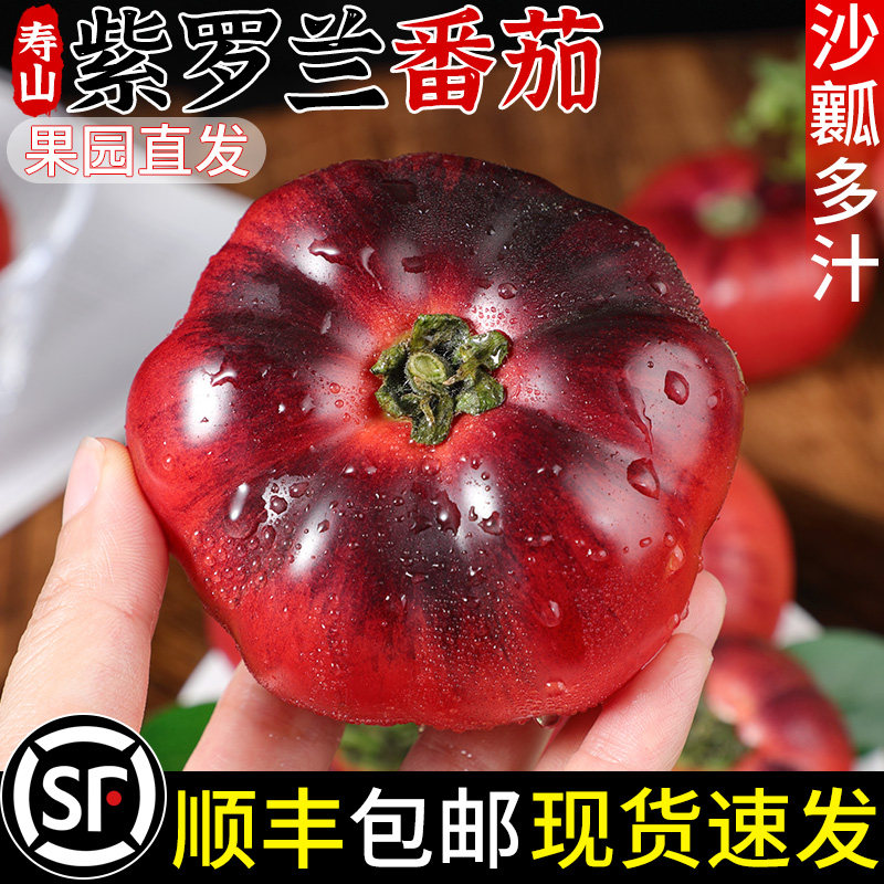 顺丰山东寿光紫罗兰特色番茄紫元帅西红柿现摘新鲜大番茄沙瓤口感