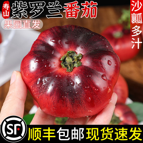 农家自种！寿光紫罗兰番茄！沙瓤