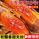 山东烟薯25号糖心蜜薯9斤红薯新鲜农家沙地烤地瓜番薯甜山芋 包邮