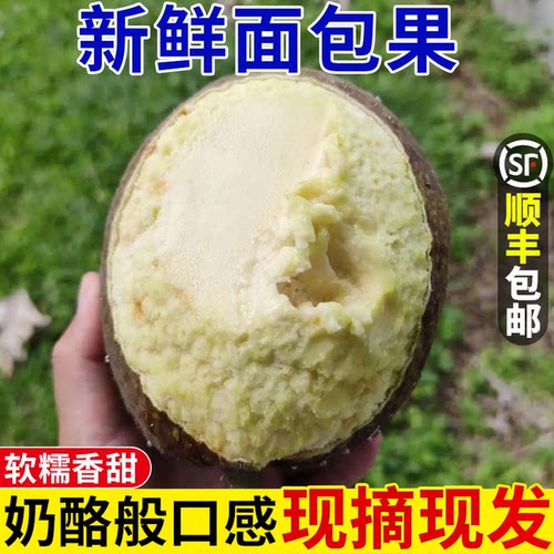 新鲜面包果！冰淇淋口感！现摘