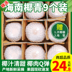 正宗海南椰青新鲜椰子9个装当季热带水果去皮老椰子椰宝特产包邮3