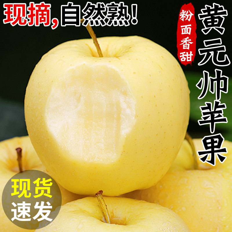 正宗黄元帅苹果新鲜水果当季烟台粉面刮泥苹果黄金帅苹果整箱包邮