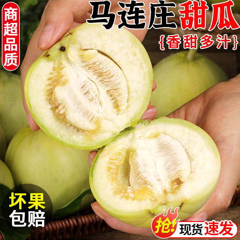 正宗马连庄甜瓜5斤新鲜水果当季现摘脆甜小香瓜绿宝甜瓜大果整箱