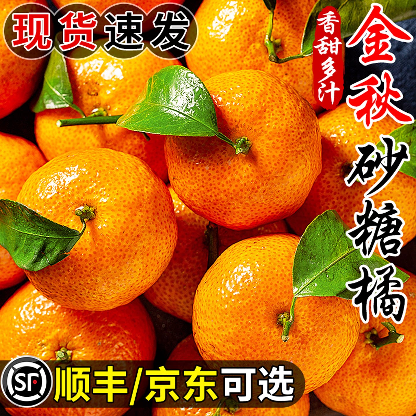 正宗金秋砂糖橘小桔子新鲜水果当季现摘薄皮无籽柑橘蜜桔整箱包邮