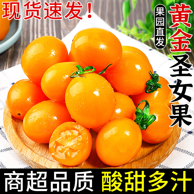 新鲜黄金圣女果5斤现摘自然熟樱桃千禧小番茄黄皮西红柿水果整箱