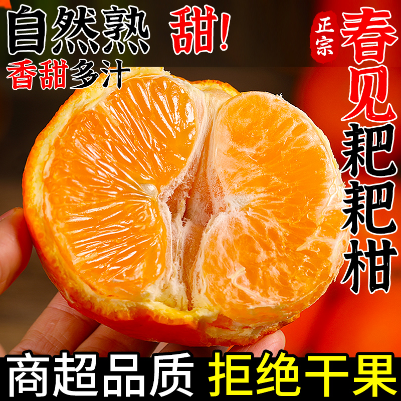 精选丨正宗春见耙耙柑丨香甜多汁