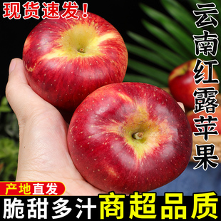 云南红露苹果应当季水果脆甜昭通丑平果现摘樱桃小苹果红富士整箱