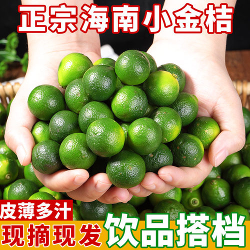【泡饮好搭档】正宗海南小金桔！