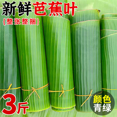 农家现采新鲜芭蕉叶包糍粑粽子